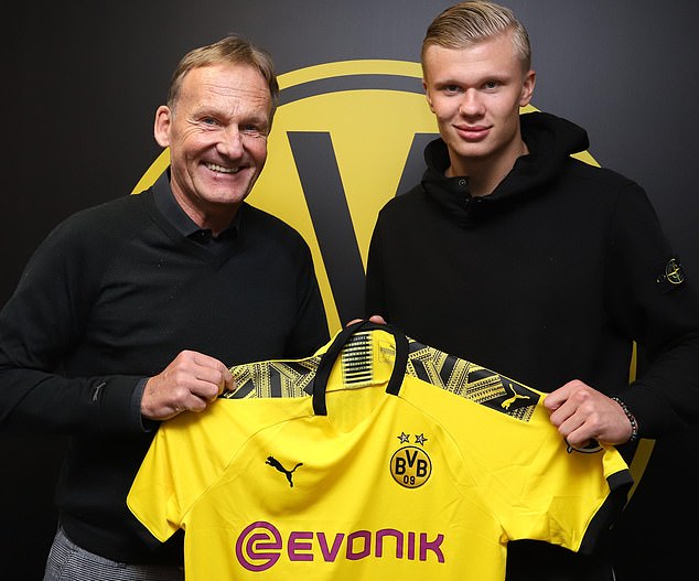 养与球队的 养与球队的